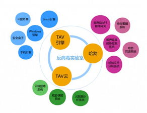 騰訊手機(jī)管家在AVC 2018年度安卓殺軟檢測(cè)中綻放光芒，檢測(cè)率再創(chuàng)新的卓越